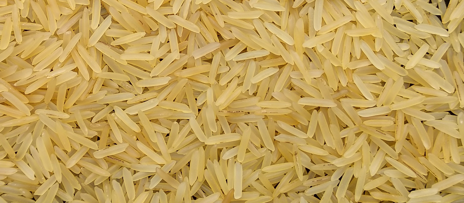 IR 64 Parboiled Rice