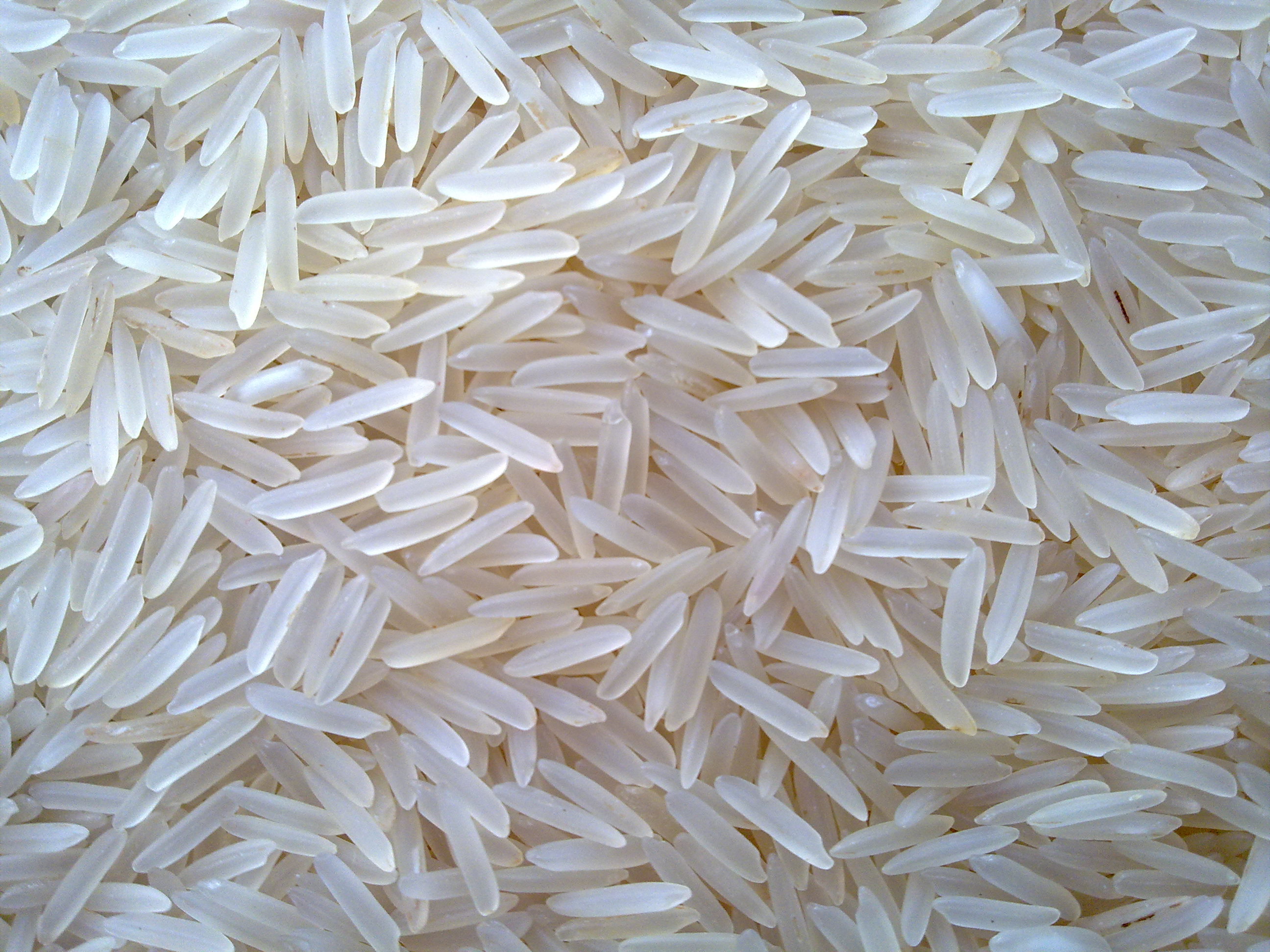 Raw Rice